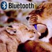 [   технології   ]   Чутки: Новий швидкісний стандарт Bluetooth 3