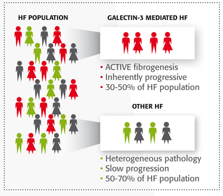 Вимірювання рівня галектіна-3 дозволяють отримати дані для оптимального лікування паціентов4